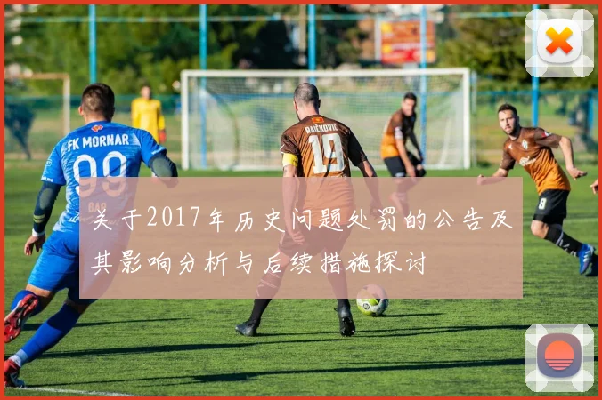 关于2017年历史问题处罚的公告及其影响分析与后续措施探讨